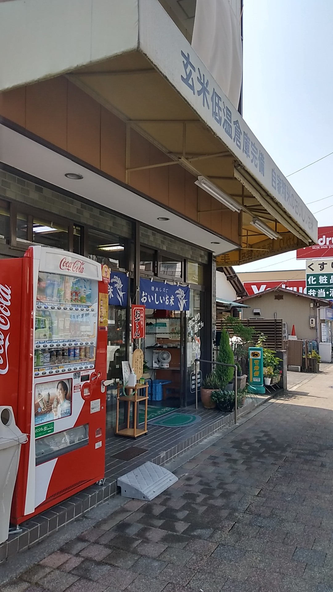 望月米店のおにぎり_f0228680_11503159.jpg