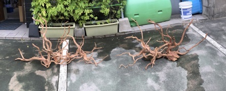 8/7 店長日記_e0173381_16552952.jpg
