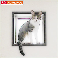拾いたての子猫_a0389088_04102817.jpg