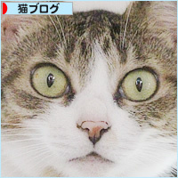 拾いたての子猫_a0389088_04102873.jpg