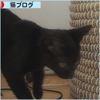 ひっそりと_a0389088_04342058.jpg