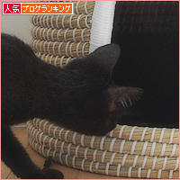 ひっそりと_a0389088_04342073.jpg