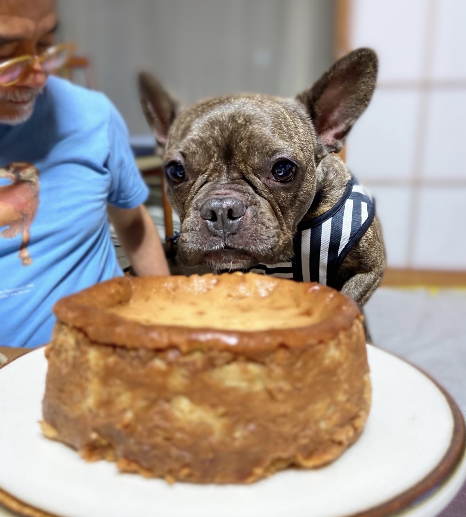 ゴルゴンゾーラチーズケーキ ベアとの日々 ゴルゴンゾーラチーズケーキ ベアとの日々