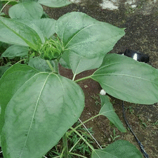 夏休み_d0224111_16474555.gif