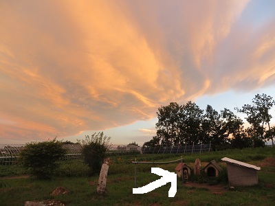 今日は青い空と白い雲と赤い夕陽_b0405523_01442344.jpg