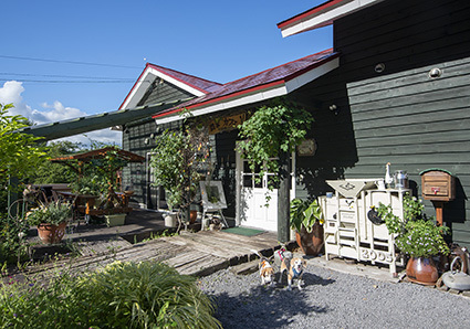 壮瞥町のハナちゃん_a0070350_19325225.jpg