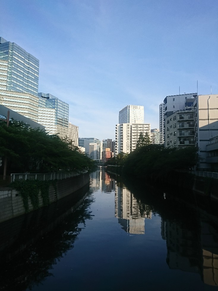 おはようモーニング_c0100865_06112541.jpg