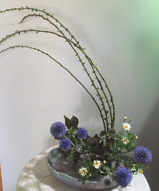 8月の庭ー瑠璃玉アザミ アルストロメリア等々 アバウトな情報科学博士のアメリカ