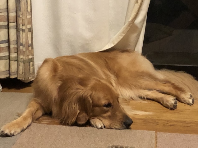 突然に。_a0394574_22290078.jpeg