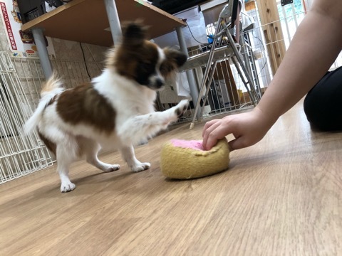 トレーニングブログ_f0357682_11530318.jpeg