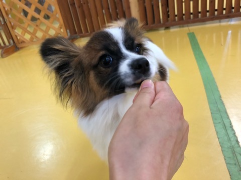 トレーニングブログ_f0357682_11552503.jpeg