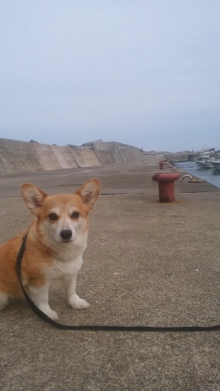 海でも遊ぼう‼_b0219993_10480786.jpg