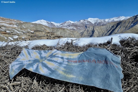 WINTER DOLPO 122Days 報告会 at 千早赤阪村_e0111396_12201669.jpeg