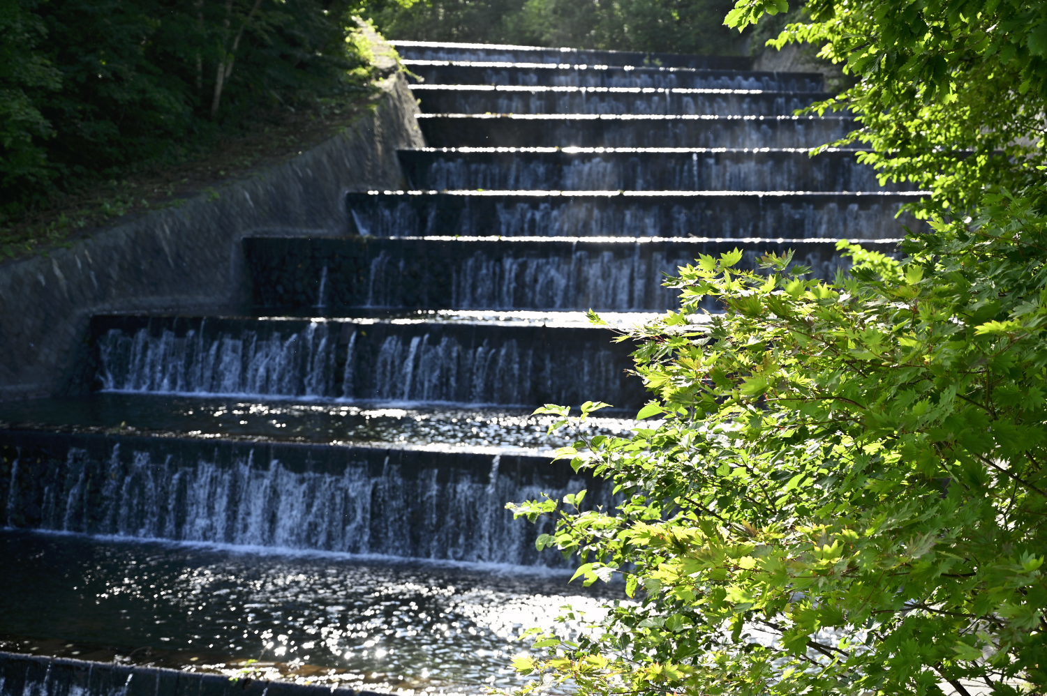 奥沢水源地 8 8 C P C Commune Photograph Collections