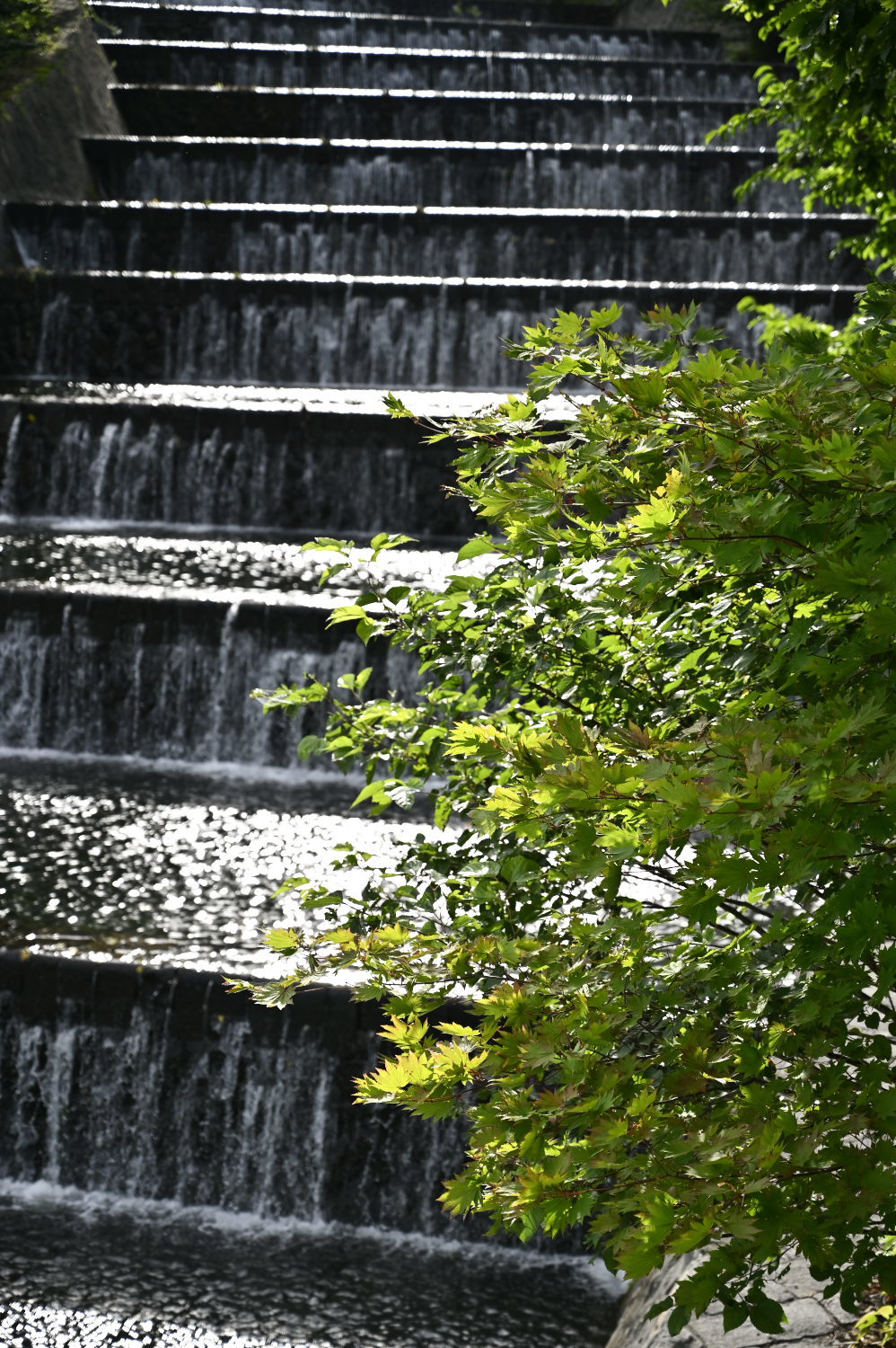 奥沢水源地 8 8 C P C Commune Photograph Collections