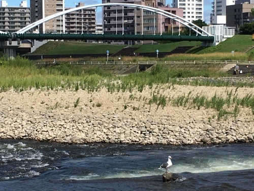 ゆる~く過ごす夏の日々_e0326953_19024312.jpg