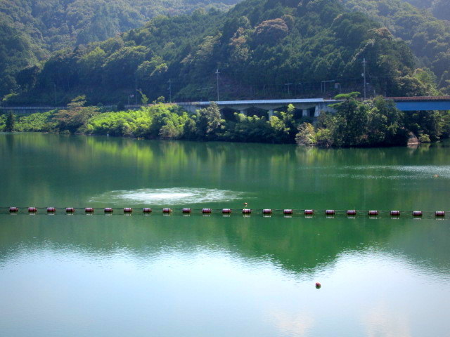 奥河内 * 真夏の滝畑ダム_f0236260_00045234.jpg