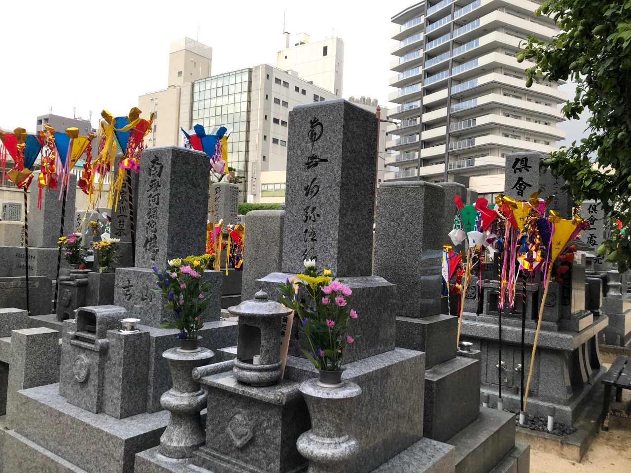 早朝のお墓まいり 押し花おばさんの気まぐれブログ 早朝のお墓まいり 押し花おばさんの気まぐれブログ