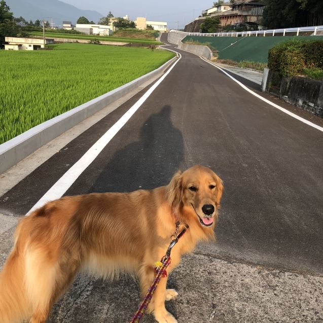 今朝の、小さなお話。_a0394574_08294684.jpeg