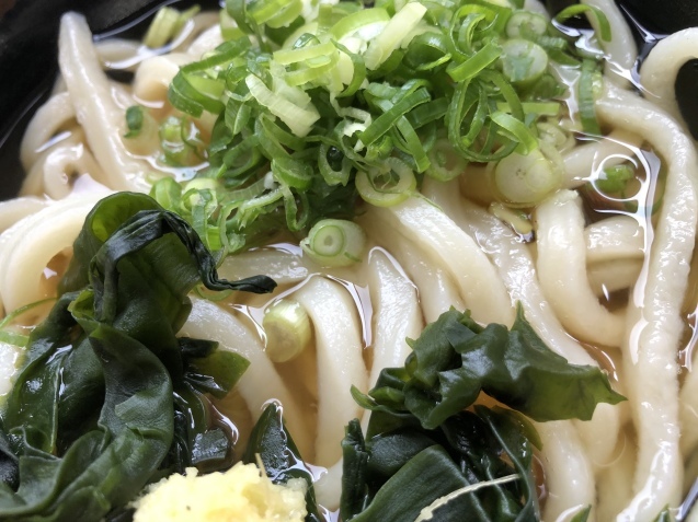 明日への誘い。_a0394574_22270706.jpeg