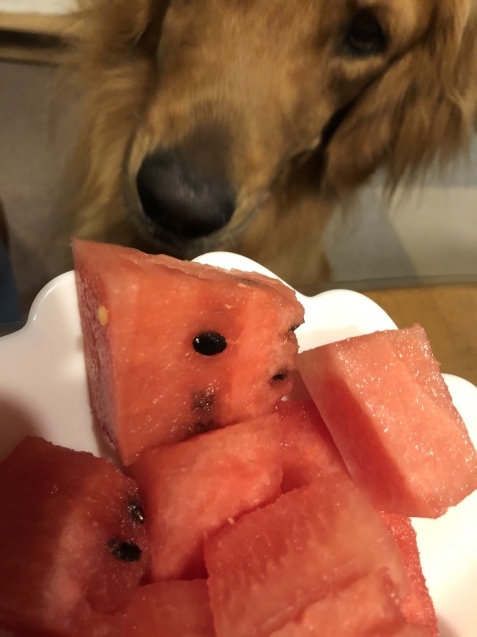 明日への誘い。_a0394574_23121515.jpeg