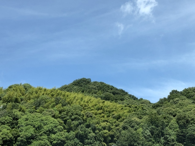 明日への誘い。_a0394574_23325641.jpeg