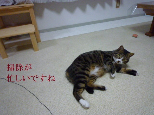 ひたすら掃除_e0363677_21054912.jpg