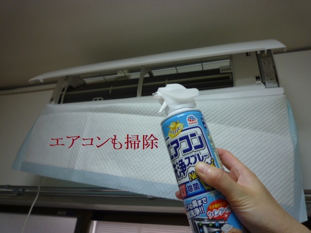 ひたすら掃除_e0363677_21054928.jpg