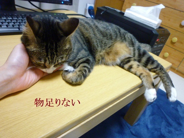 ひたすら掃除_e0363677_21054943.jpg