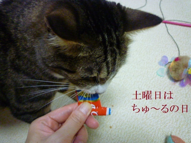 ひたすら掃除_e0363677_21054954.jpg