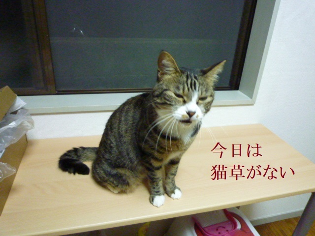 ひたすら掃除_e0363677_21054990.jpg