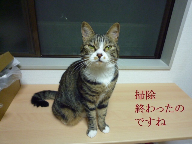 ひたすら掃除_e0363677_21055092.jpg