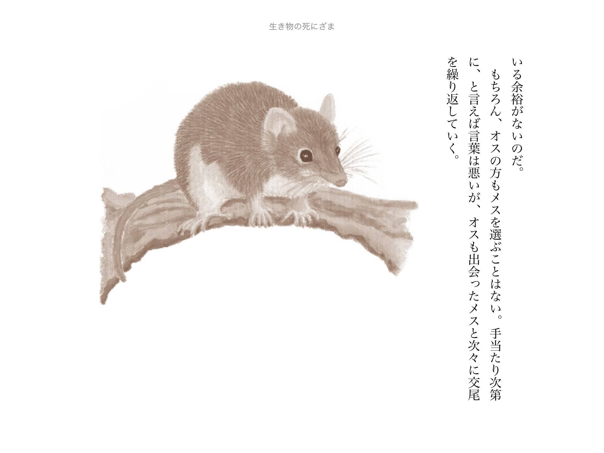 海の日じゃなくて山の日だそうです_c0025115_22475788.jpg
