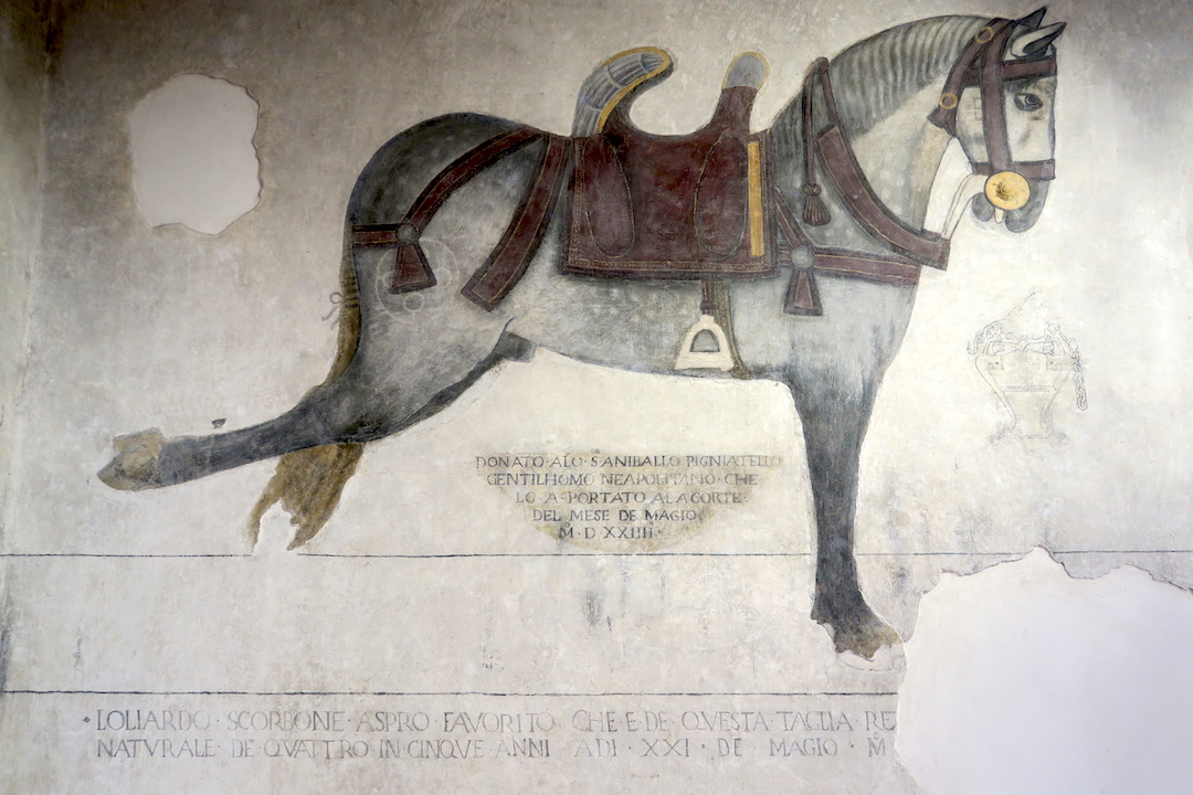 馬を愛し城いっぱいに描いた城主、ヴェナーフロ パンドーネ城_f0234936_23184029.jpg