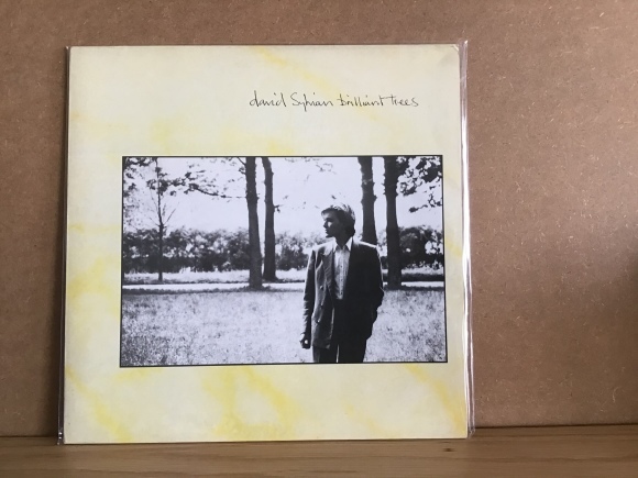 brilliant trees / david sylvian_e0230141_20375809.jpeg
