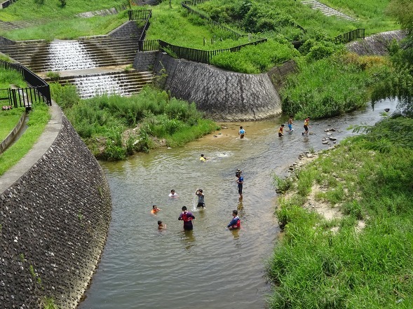プ－さんとピグレットさんの川遊び❤️ 川遊び : 彩の気まぐれ写真