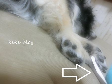 寝ている間に 足裏の毛をカット Kikiブログ 寝ている間に 足裏の毛をカット Kikiブログ