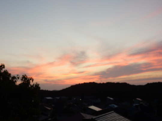 ’20,8,10(月)2時間散歩のおしゃべり散歩で1万歩!_f0060461_05063213.jpg