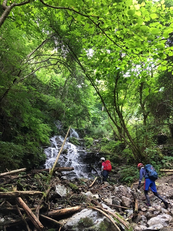 金剛山　石ブテ西谷へ_c0260463_10193324.jpg