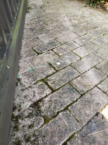 8 9 レンガのこびりついた汚れ あなたに似た花