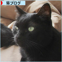 新しくわかった、ヒナの病気_a0389088_07532951.jpg