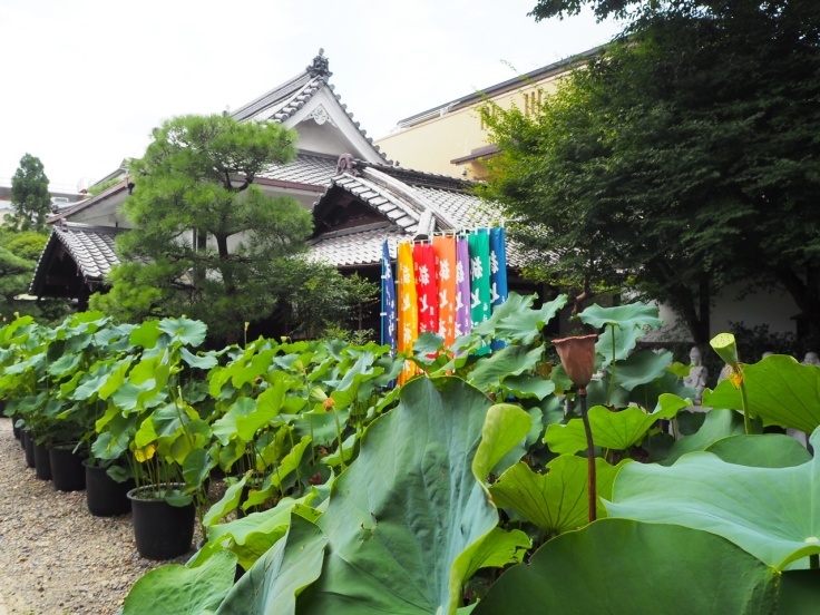 京都御苑 夏のトンボ池 一般公開_a0376293_21440736.jpg