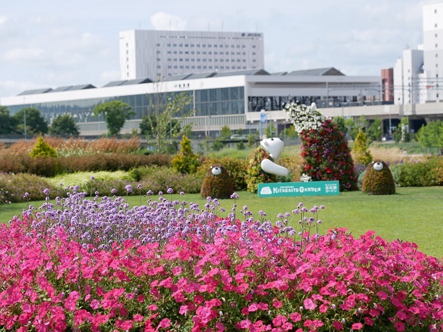ガーデンセンター周辺開花情報_e0336214_12573393.jpg