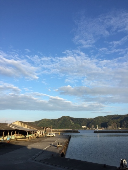 今後の予定_d0239615_23382762.jpeg