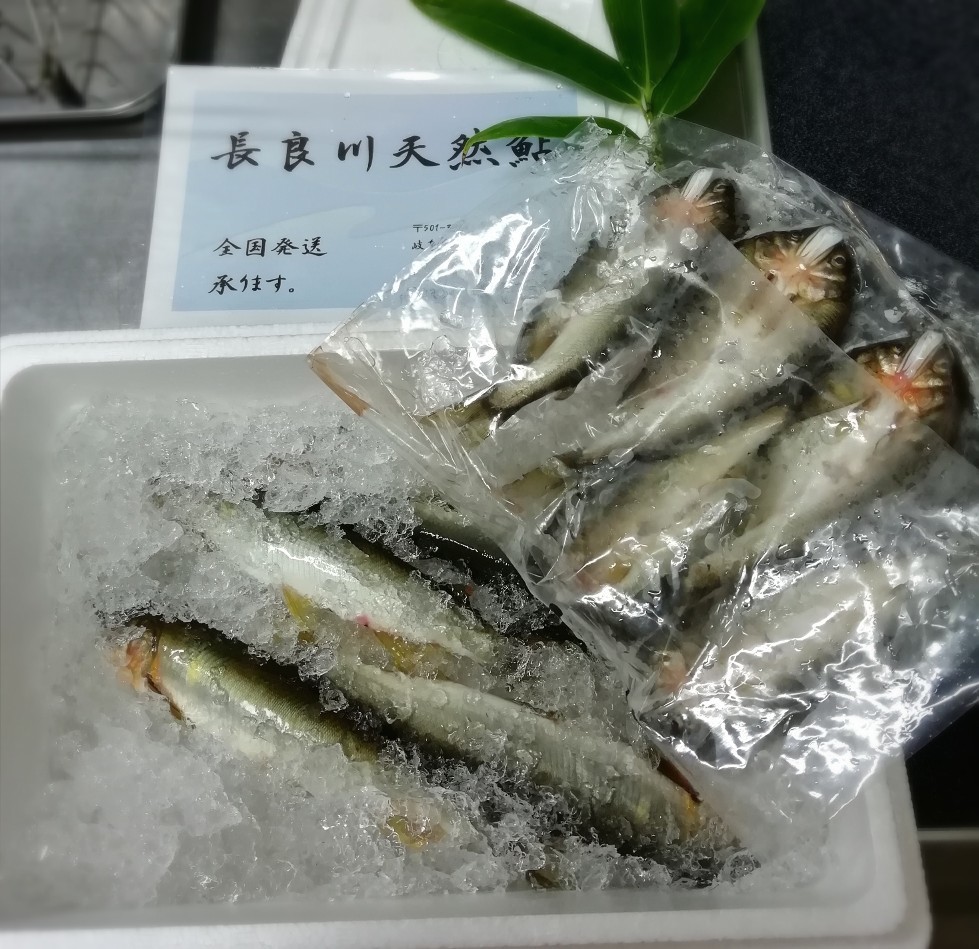 鮎パー 長良川天然鮎販売 魚太商店 岐阜 晴れの日シュワシュワ