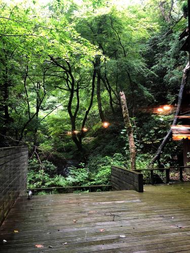 東山ボヌール_e0292546_19274351.jpg