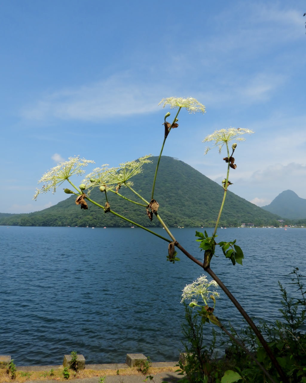 榛名湖畔で 避暑ついで_c0305565_17480331.jpg