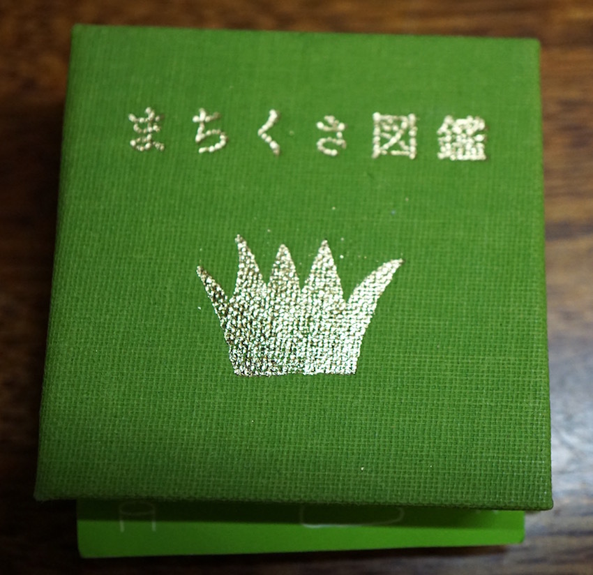 「まちくさ図鑑」_b0057679_09382836.jpg