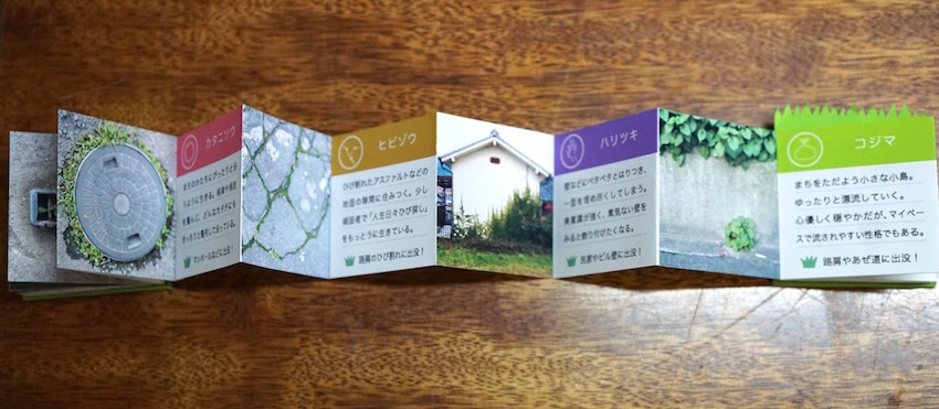 「まちくさ図鑑」_b0057679_09383523.jpg