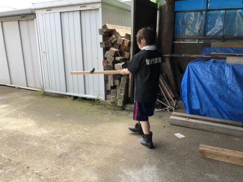 ツバメの巣立ち_f0150893_18025247.jpeg